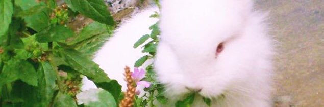 locatortas's profile banner image