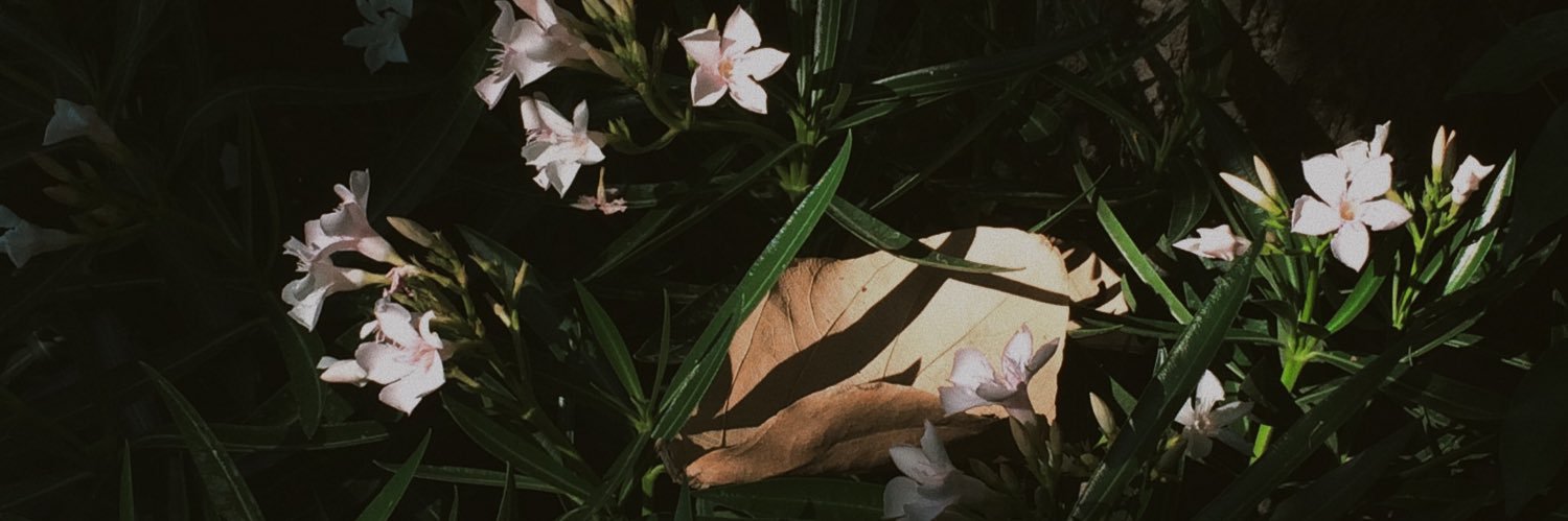 Fgdg101's profile banner image