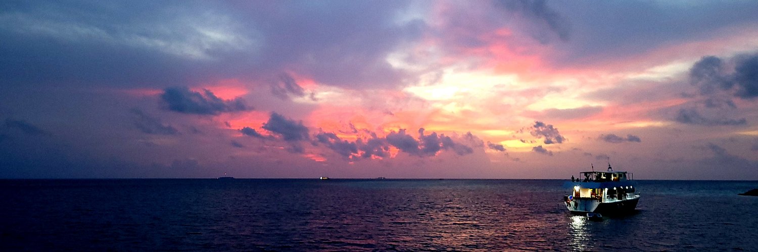 Chris "Chip" Potter banner