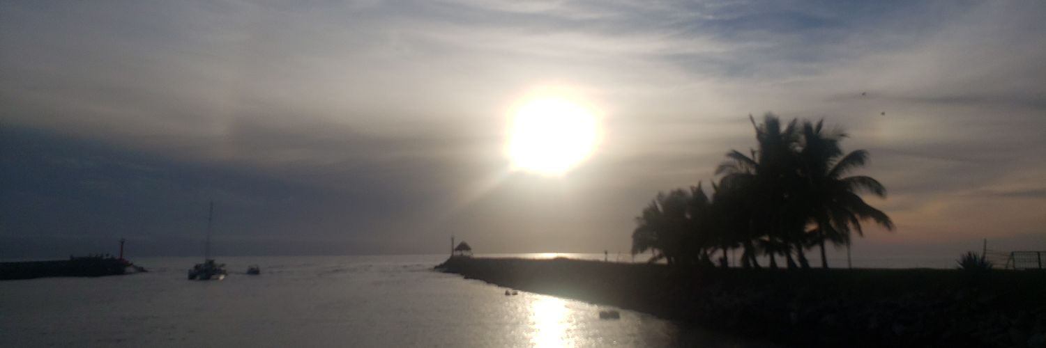 nancyorqui's profile banner image
