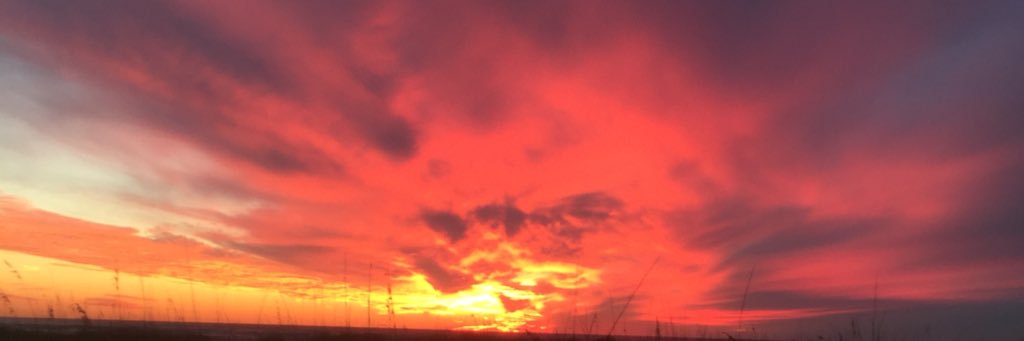 WebsterDrew88's profile banner image
