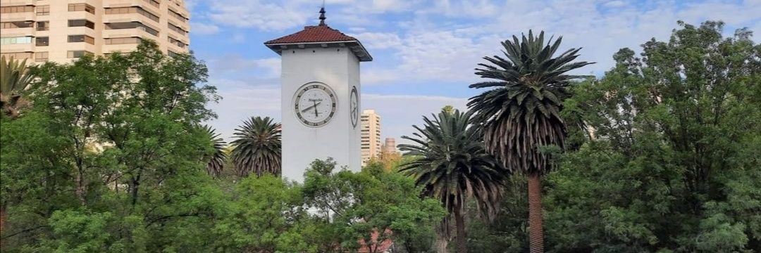 ElChairoDePolanco banner