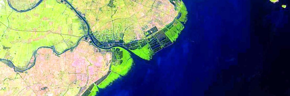 Resilient Mangroves banner