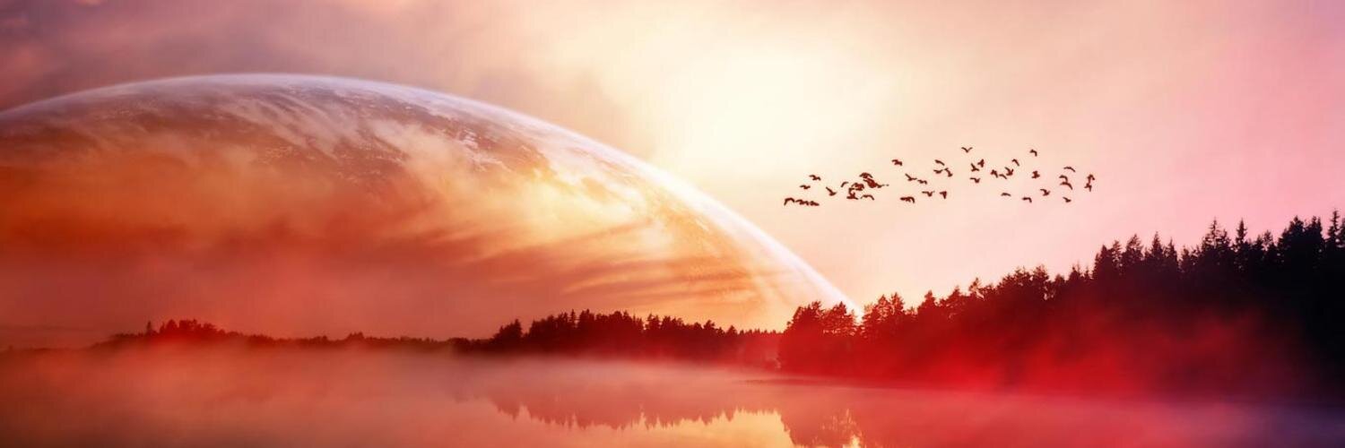 gkapellmann's profile banner image