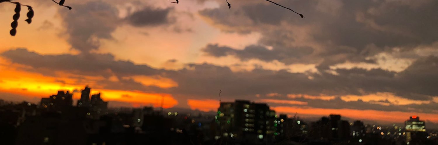 santiaribon's profile banner image