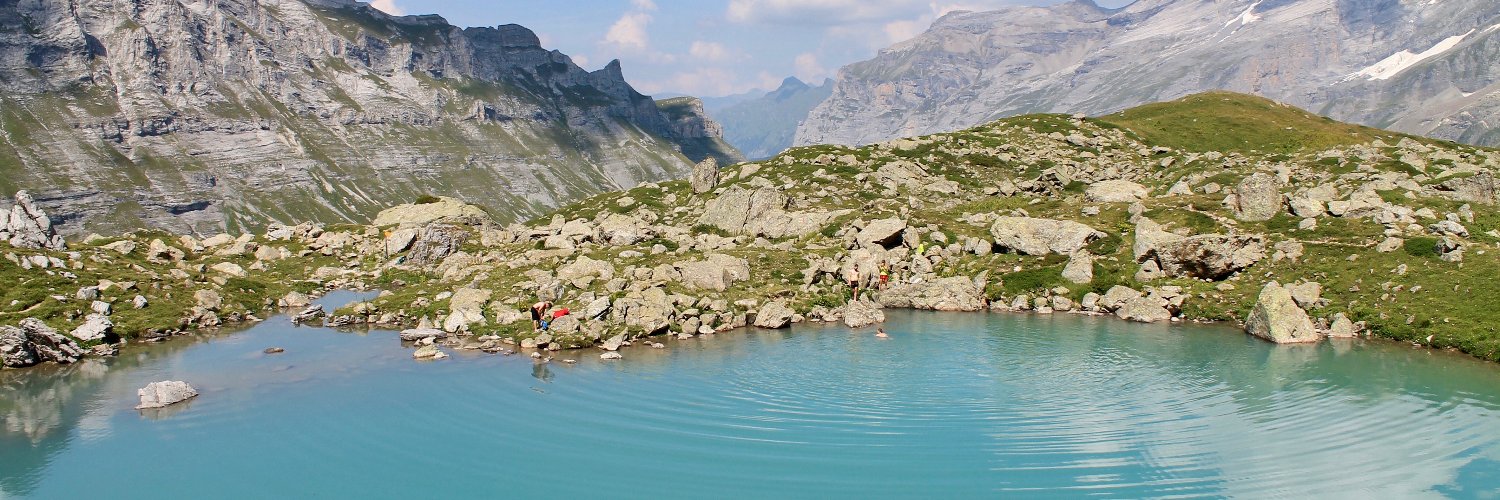 Sarah Freeman banner