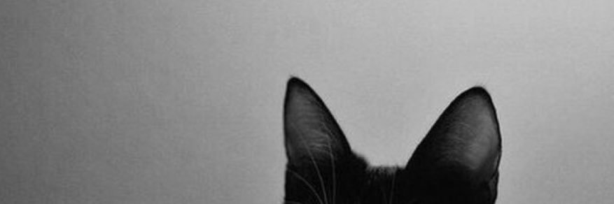 _Lulwah7's profile banner image