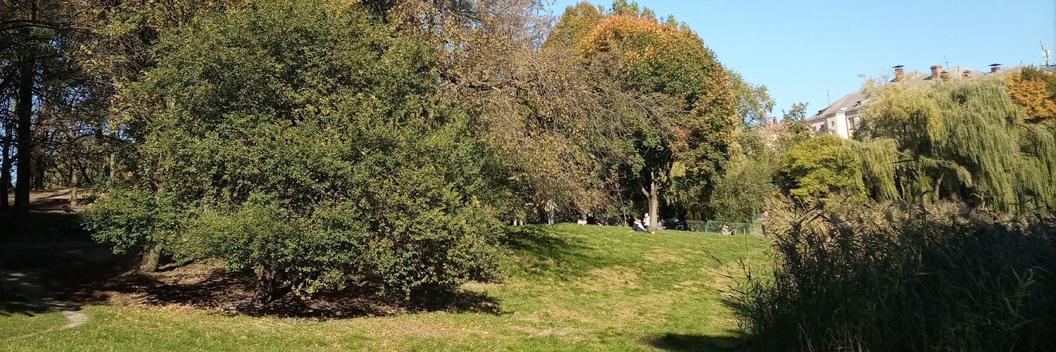 Леді Апельсин 🗝️ banner