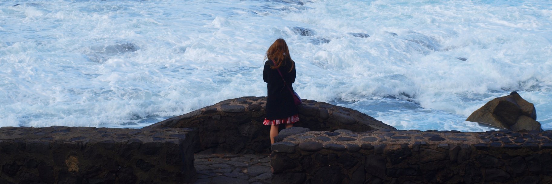 chloeyzoard's profile banner image