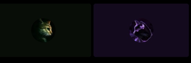 danibaeza's profile banner image