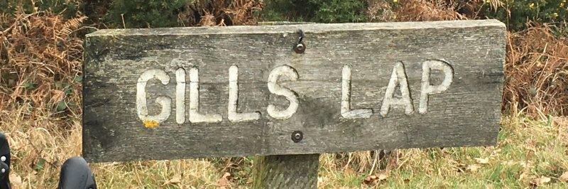 Gill Thom banner