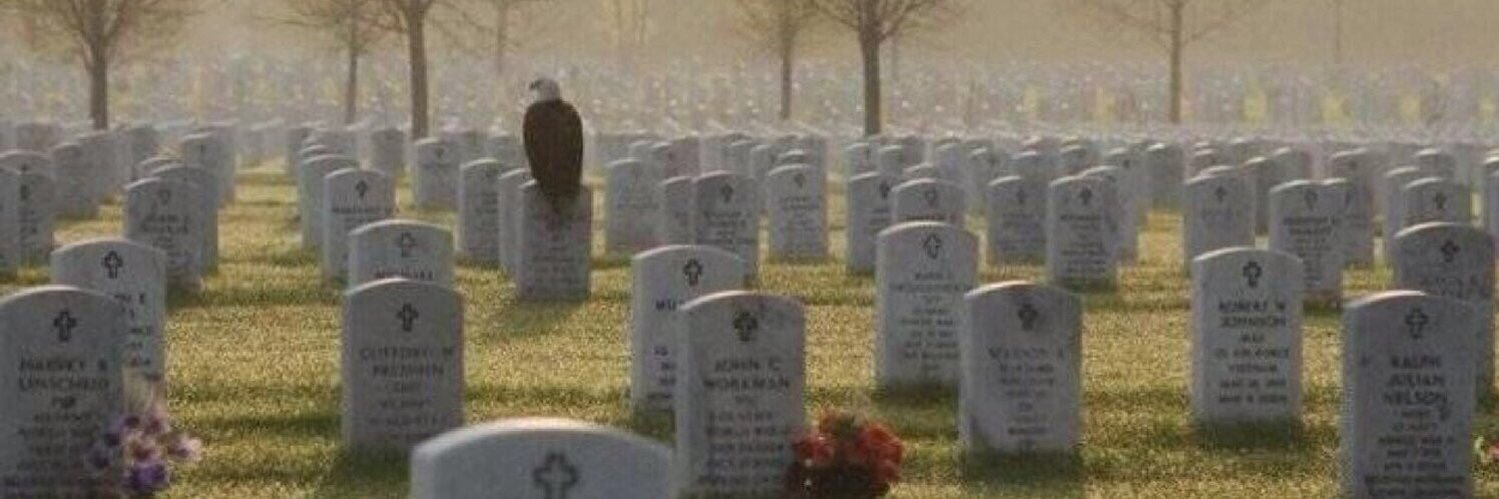 LG4LG ☦️🍏801🕊 💚 banner