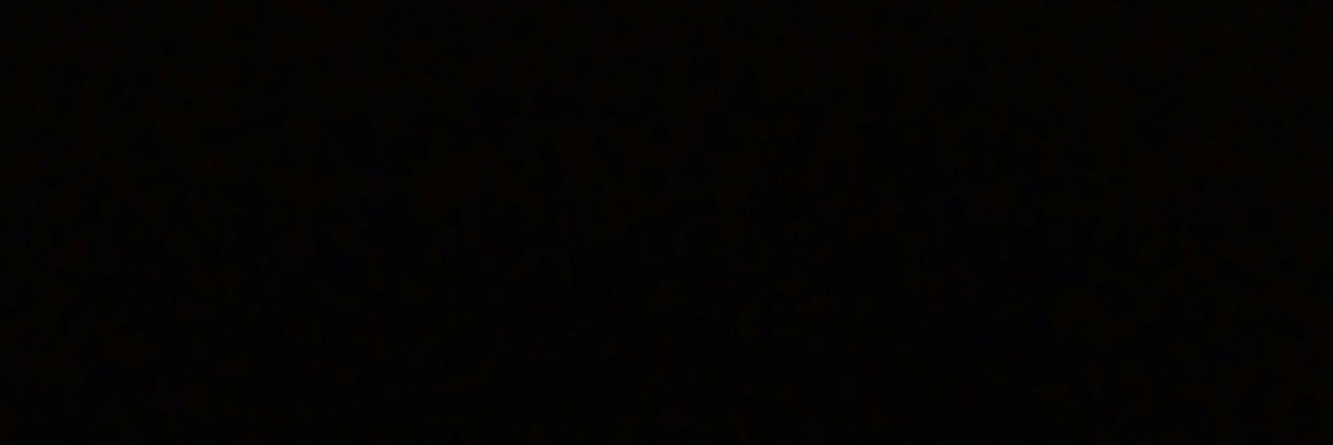 DAVID ALLAN LAUHER banner