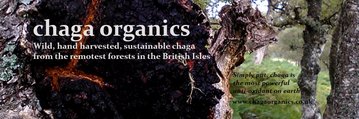 ChagaOrganics's profile banner image
