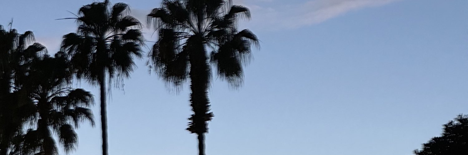 Adrnbrcl's profile banner image