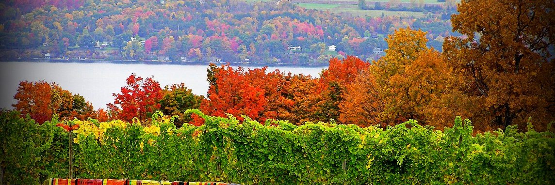 Seneca County Chamber of Commerce banner