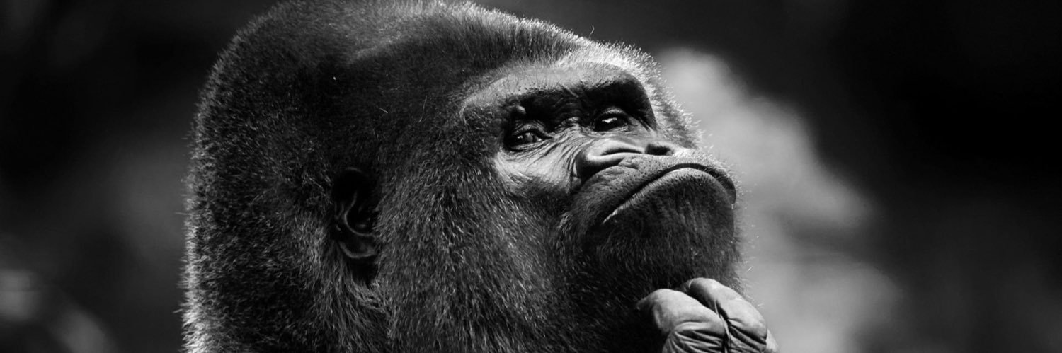 ixixixixi's profile banner image