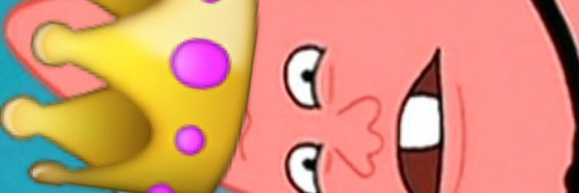 EverydayGoose banner