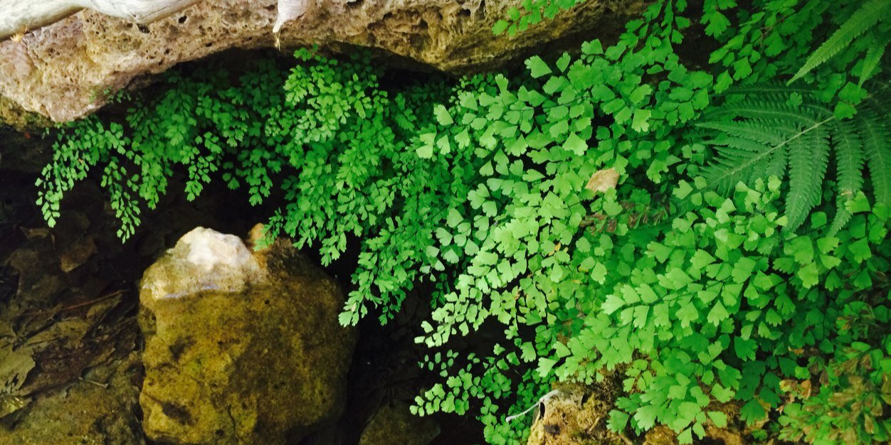Sydtrine's profile banner image
