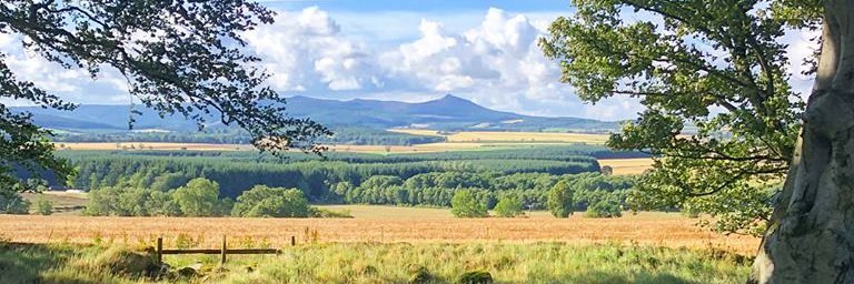 Grant Anderson banner