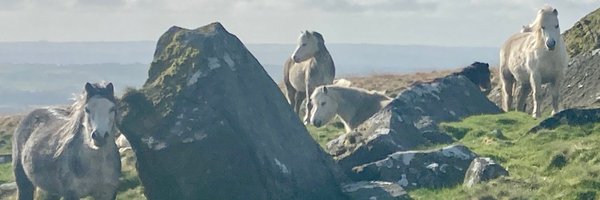 SianECollins Profile Banner