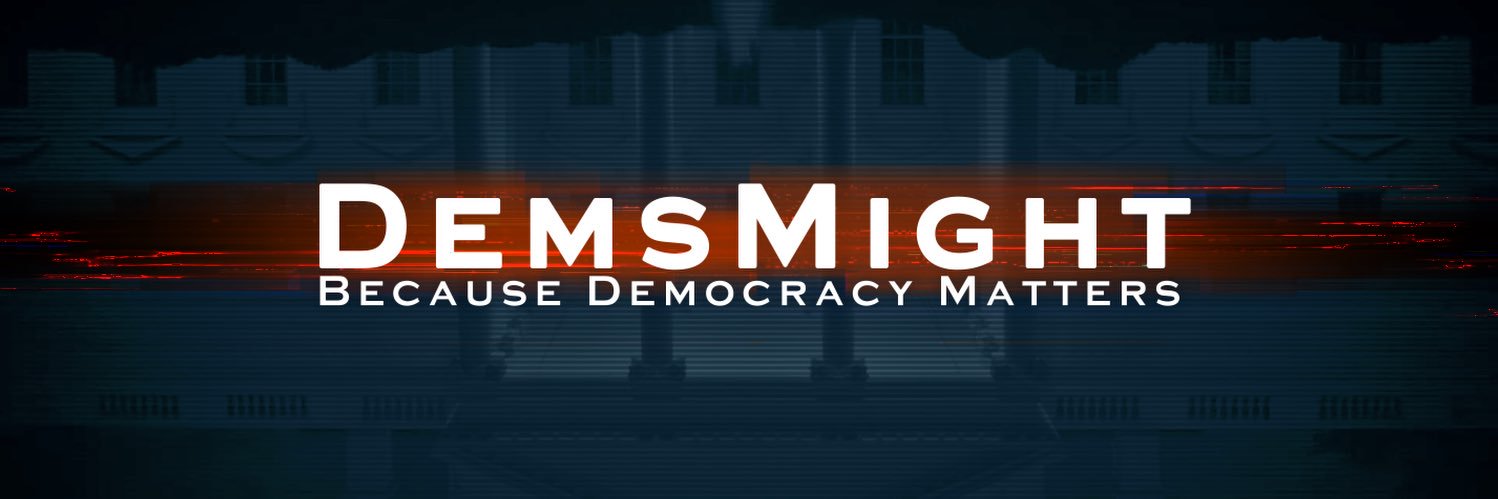 DemsMight 🇺🇸 banner