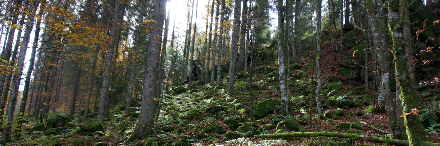 Ruud op den Kelder banner