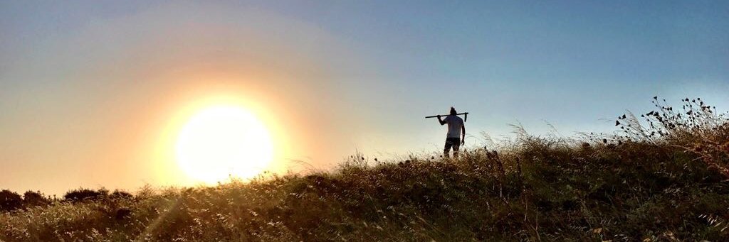mazifarm's profile banner image