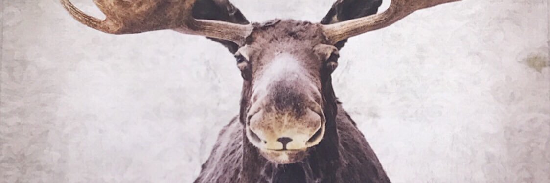 codycorpe's profile banner image