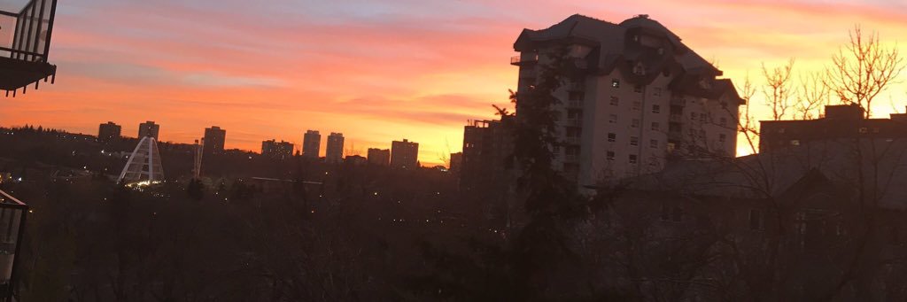 wologiii's profile banner image
