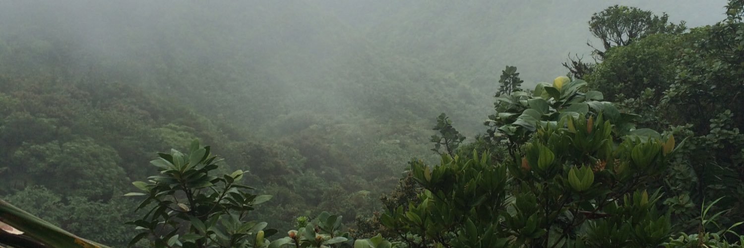 TedStriegel's profile banner image