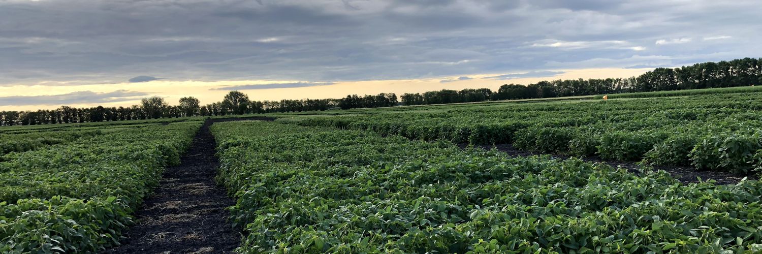 Bahram Samanfar banner