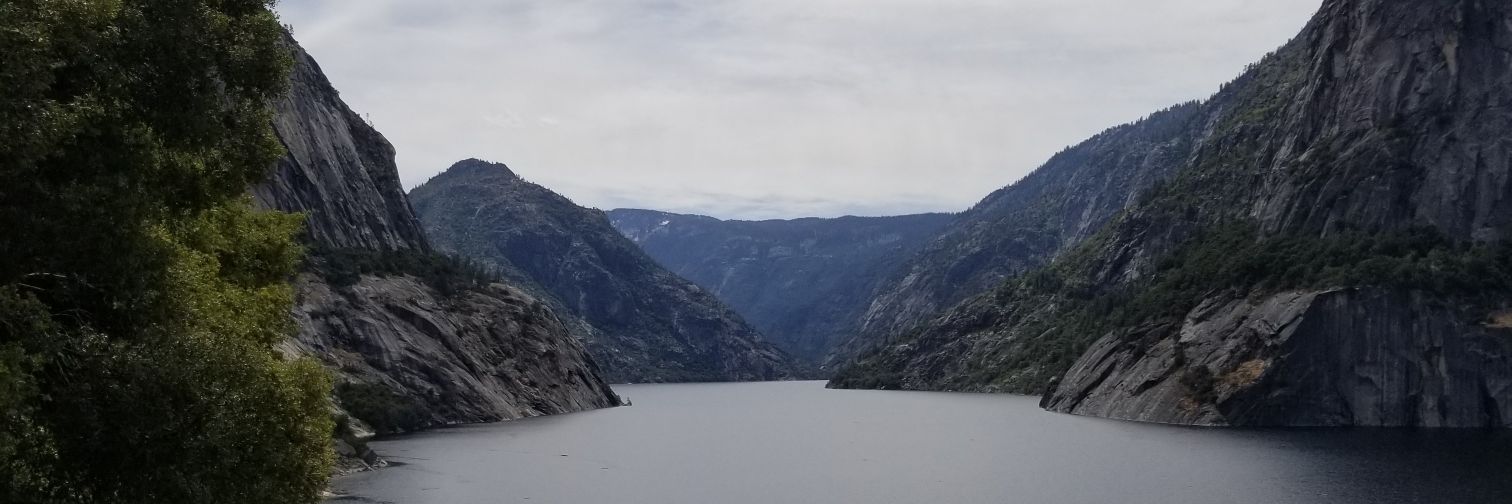 Cameron Finbow banner