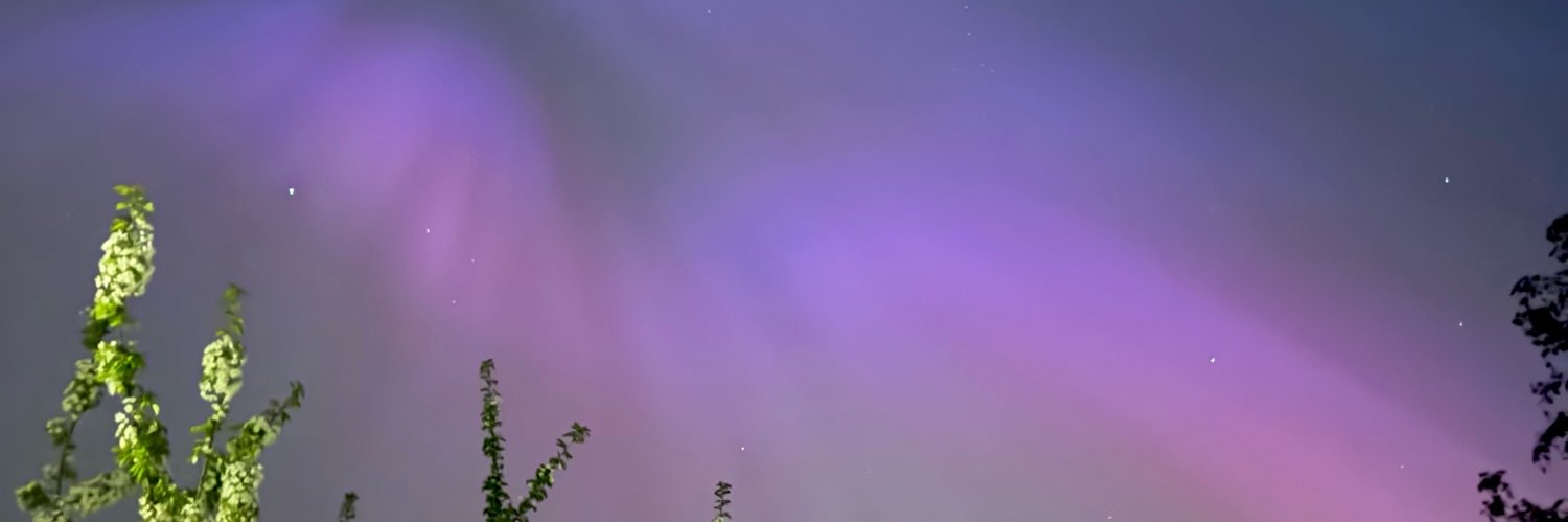 Ronnie banner
