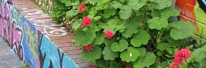 deborahsingerma's profile banner image