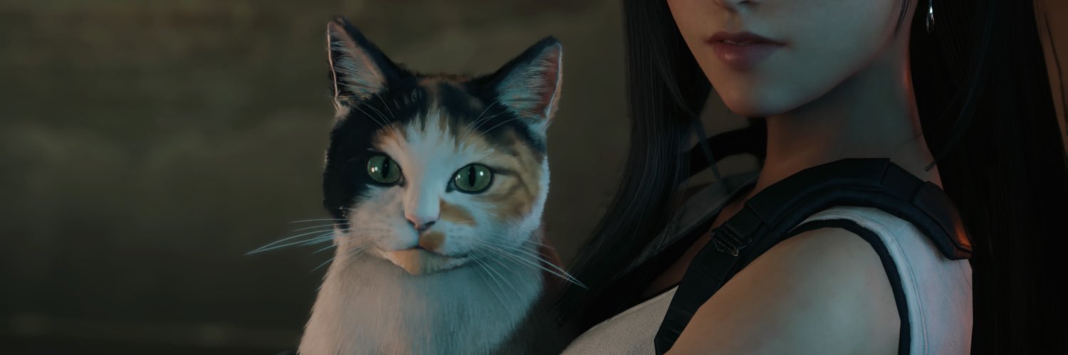 AlexRakowski's profile banner image
