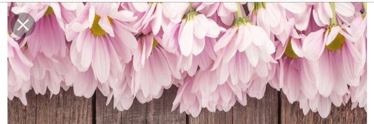 SandEEE_'s profile banner image
