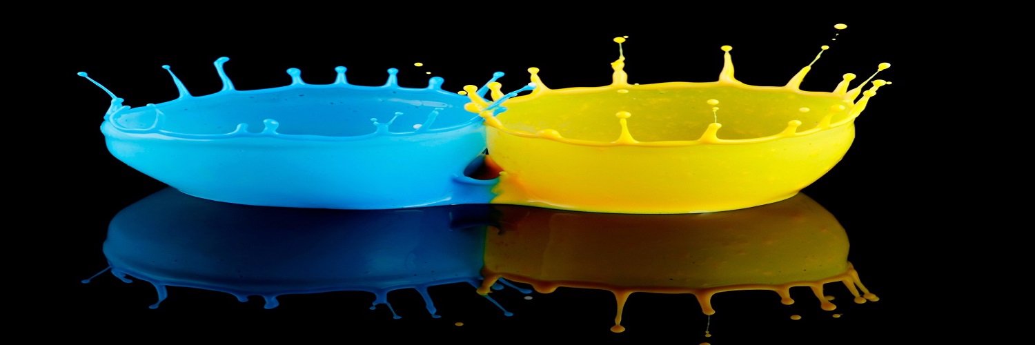 Mary Johnston banner