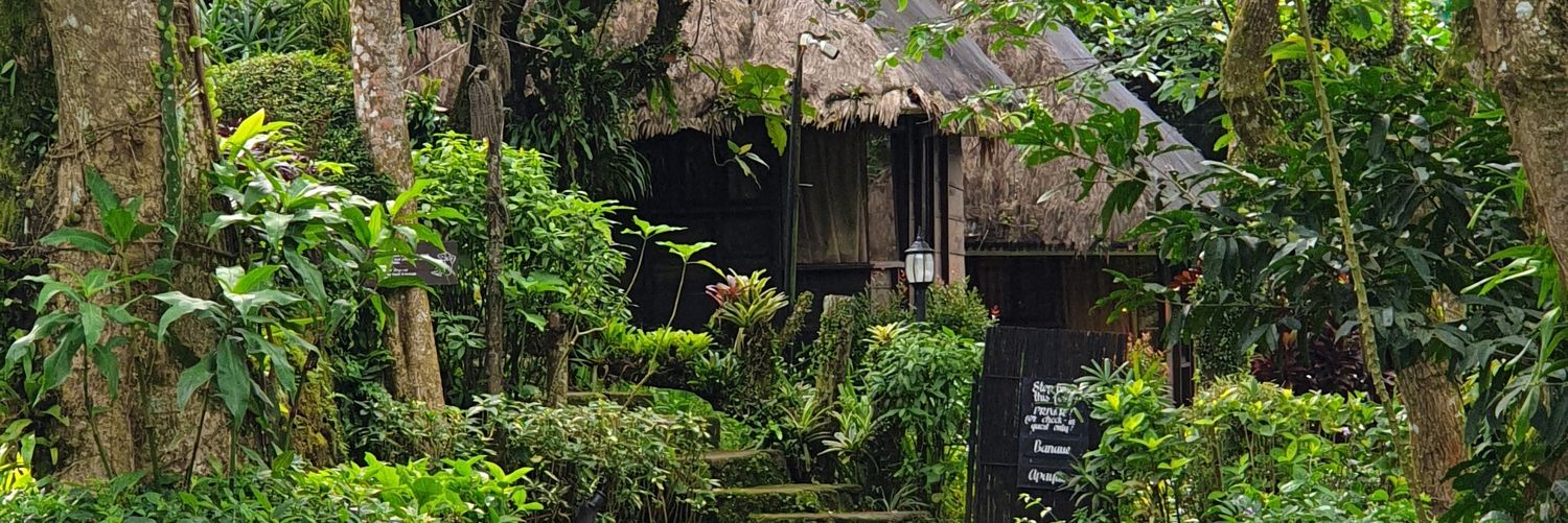 Alvin Abrantes banner