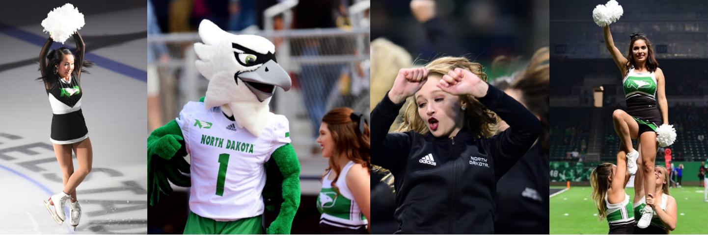 NDspiritsquads's profile banner image