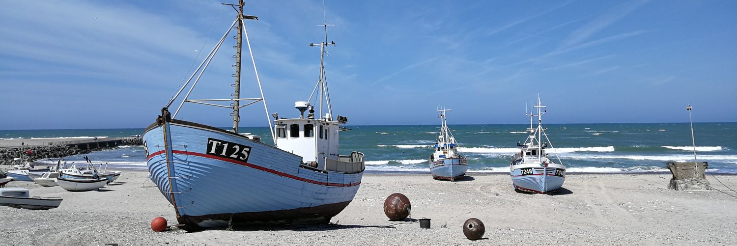 Ugo Marzocchi banner