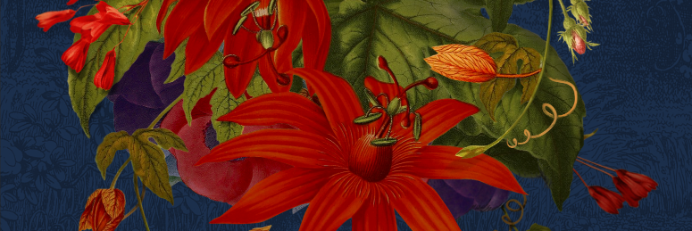 lunaplina's profile banner image