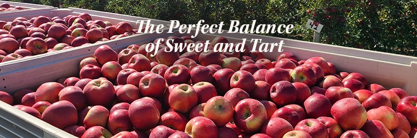RubyFrost Apples banner