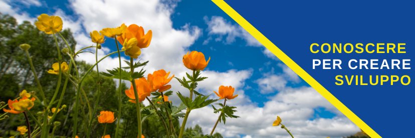 EurcaSrl's profile banner image