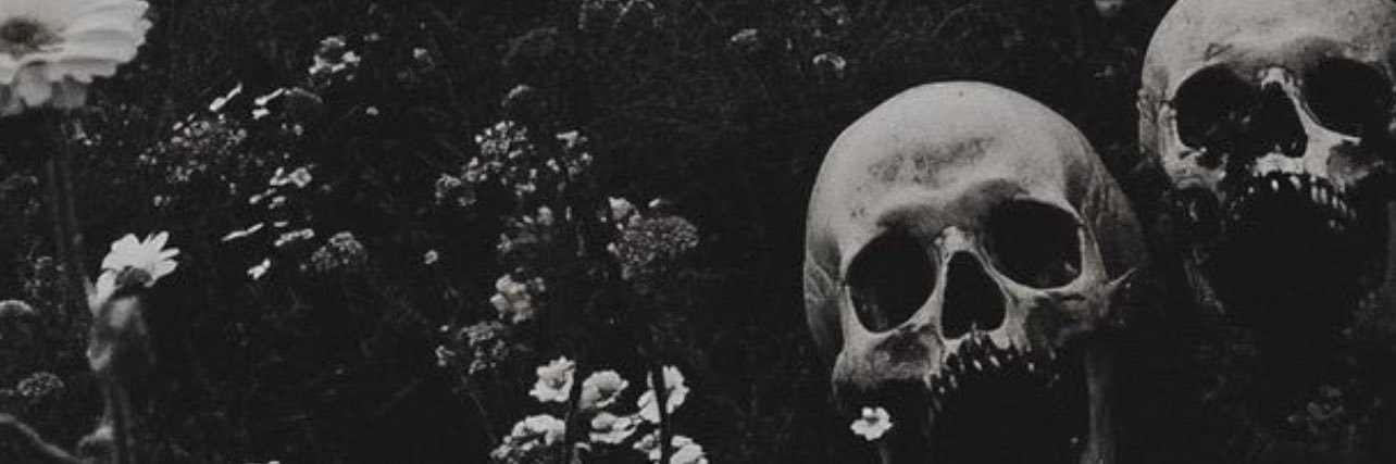 akaq0's profile banner image