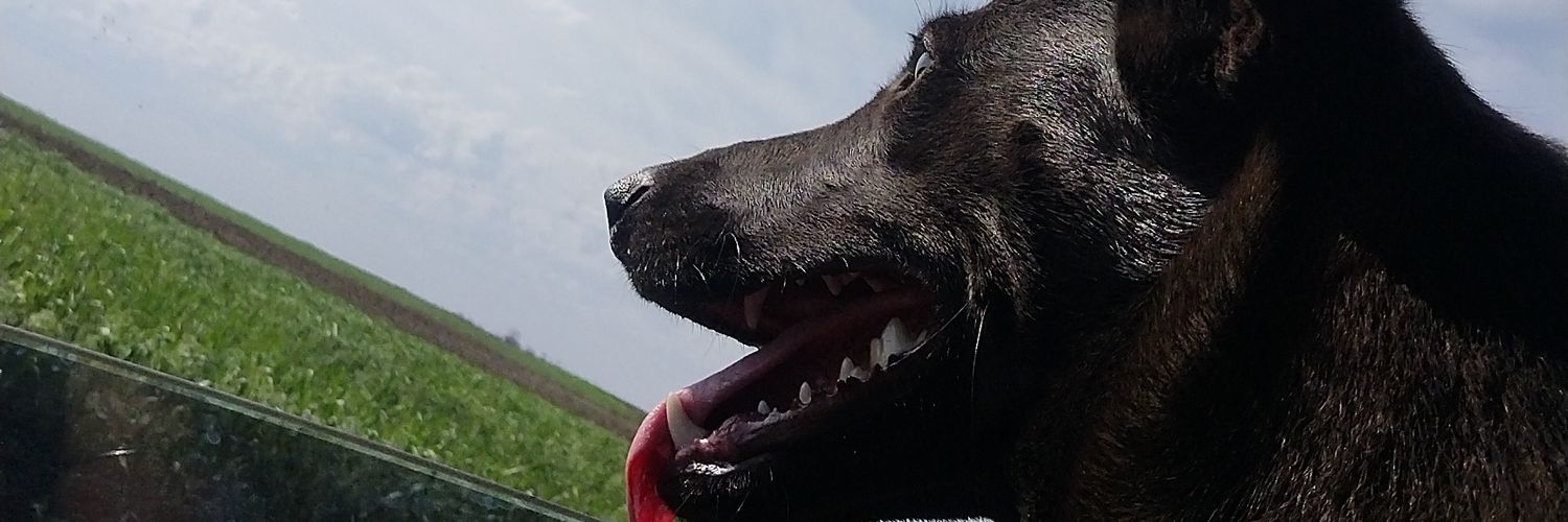 Brisarobled02's profile banner image