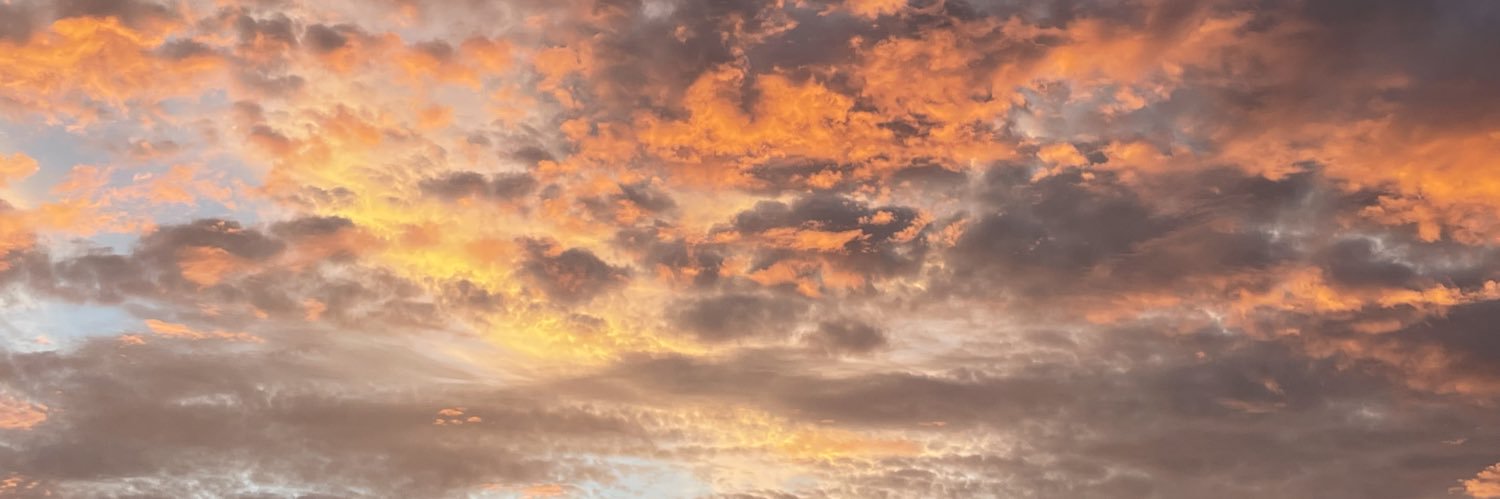 julia_bauer3's profile banner image