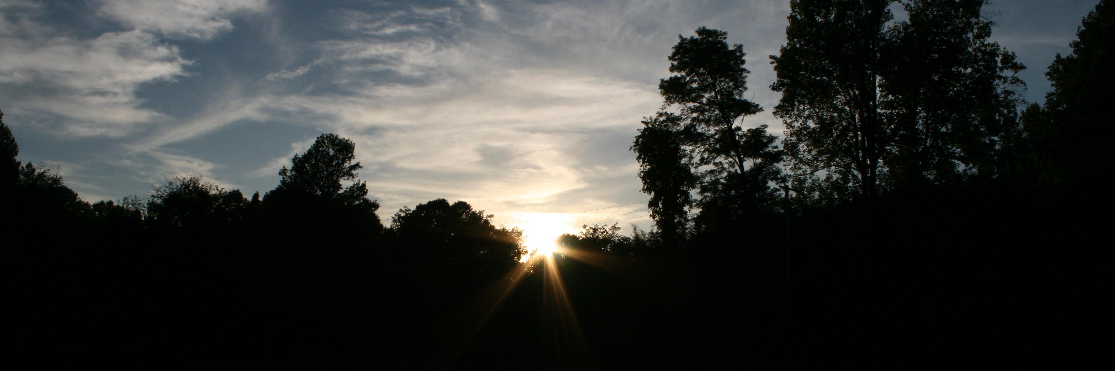 MichaelCarico's profile banner image