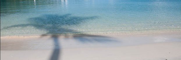 ☾Moonchild Rising⁷⊙⊝⊜💜🐰🐨#13YearsWithBTS 🥢🐥🃏✨ banner