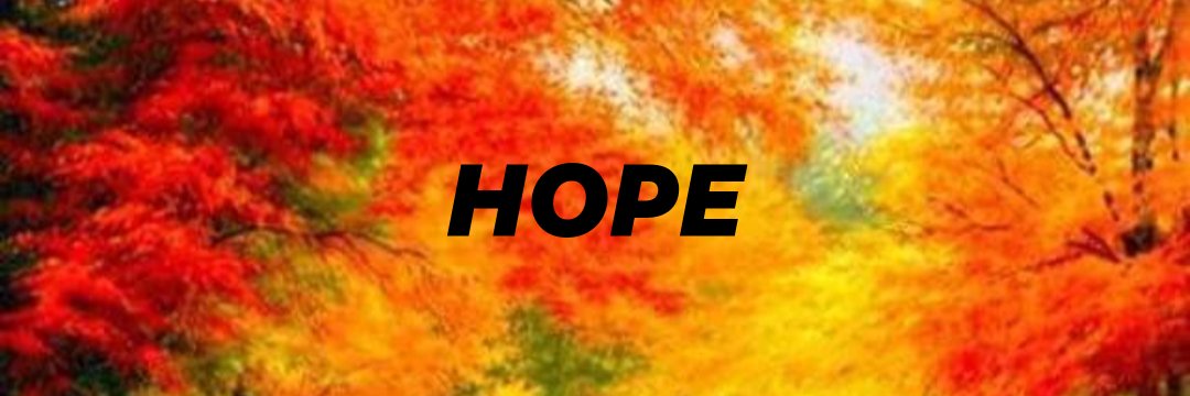 OneColoradoGirl's profile banner image